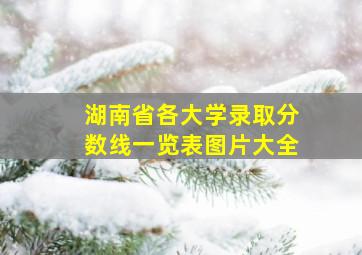 湖南省各大学录取分数线一览表图片大全