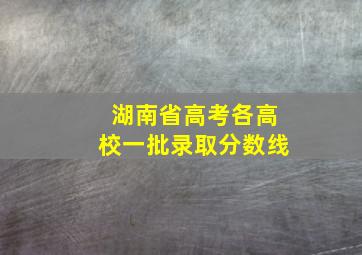 湖南省高考各高校一批录取分数线