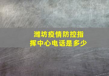 潍坊疫情防控指挥中心电话是多少