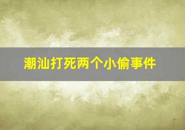 潮汕打死两个小偷事件