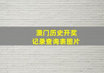 澳门历史开奖记录查询表图片