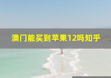 澳门能买到苹果12吗知乎