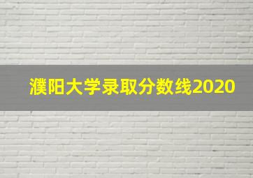 濮阳大学录取分数线2020