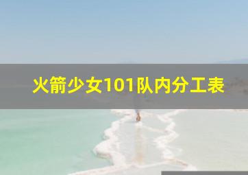 火箭少女101队内分工表