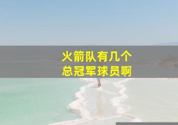 火箭队有几个总冠军球员啊