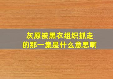 灰原被黑衣组织抓走的那一集是什么意思啊