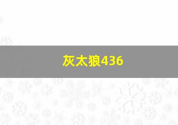 灰太狼436