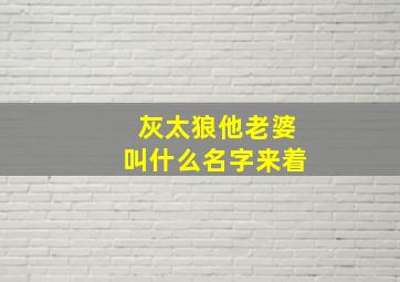 灰太狼他老婆叫什么名字来着