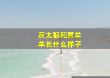 灰太狼和喜羊羊长什么样子