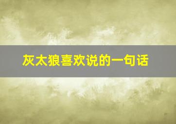 灰太狼喜欢说的一句话