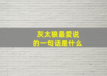 灰太狼最爱说的一句话是什么