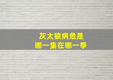 灰太狼病危是哪一集在哪一季