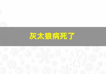 灰太狼病死了