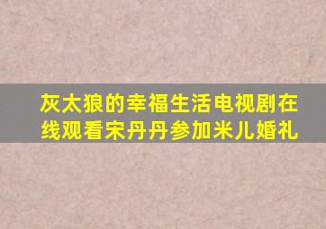 灰太狼的幸福生活电视剧在线观看宋丹丹参加米儿婚礼