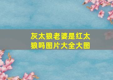 灰太狼老婆是红太狼吗图片大全大图