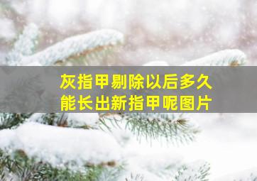 灰指甲剔除以后多久能长出新指甲呢图片