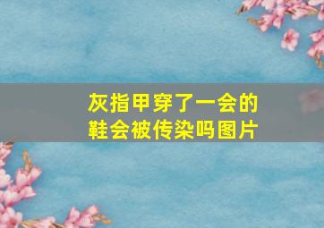 灰指甲穿了一会的鞋会被传染吗图片