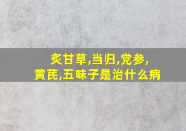 炙甘草,当归,党参,黄芪,五味子是治什么病