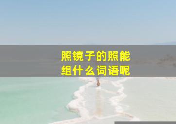 照镜子的照能组什么词语呢