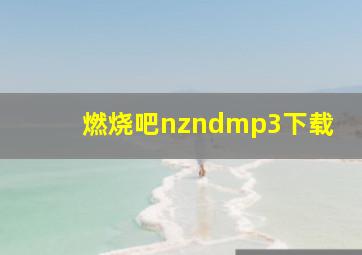 燃烧吧nzndmp3下载