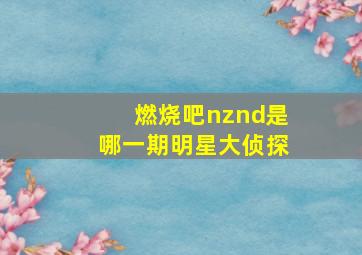 燃烧吧nznd是哪一期明星大侦探