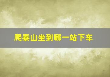 爬泰山坐到哪一站下车