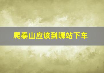 爬泰山应该到哪站下车