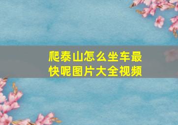 爬泰山怎么坐车最快呢图片大全视频