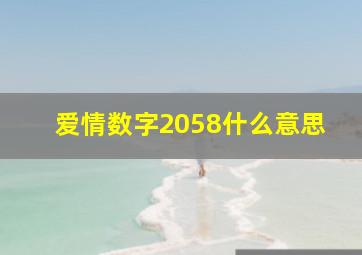 爱情数字2058什么意思