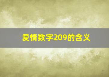 爱情数字209的含义