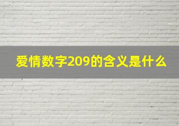 爱情数字209的含义是什么