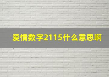 爱情数字2115什么意思啊