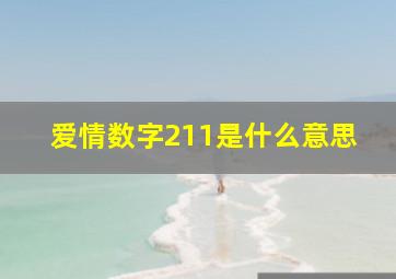 爱情数字211是什么意思