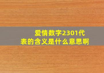 爱情数字2301代表的含义是什么意思啊