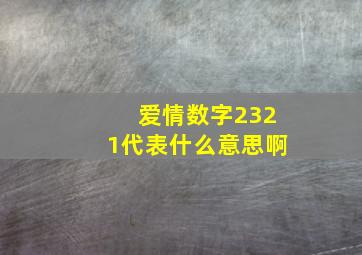 爱情数字2321代表什么意思啊