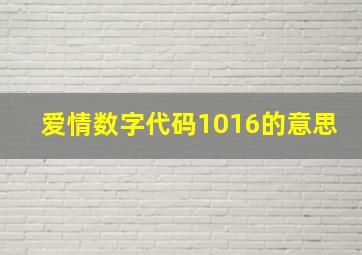 爱情数字代码1016的意思