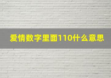 爱情数字里面110什么意思