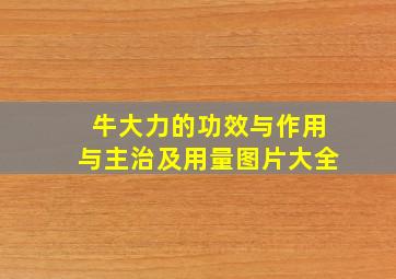 牛大力的功效与作用与主治及用量图片大全