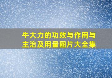 牛大力的功效与作用与主治及用量图片大全集