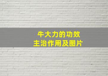 牛大力的功效主治作用及图片