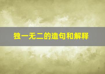 独一无二的造句和解释