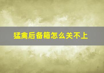 猛禽后备箱怎么关不上