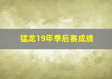 猛龙19年季后赛成绩