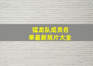 猛龙队成员名单最新照片大全