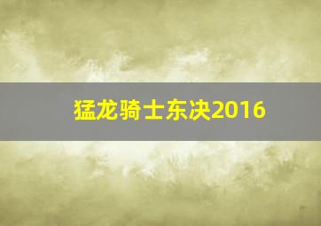 猛龙骑士东决2016