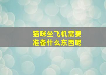 猫咪坐飞机需要准备什么东西呢