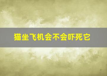 猫坐飞机会不会吓死它