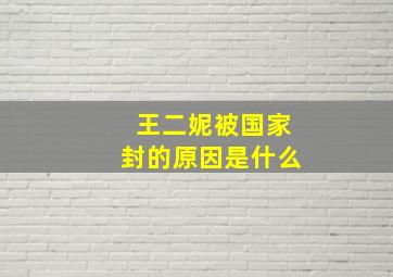 王二妮被国家封的原因是什么