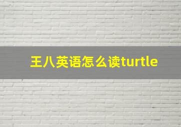 王八英语怎么读turtle