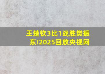 王楚钦3比1战胜樊振东!2025回放央视网